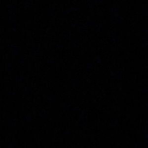 Meet your Posher, Fidel